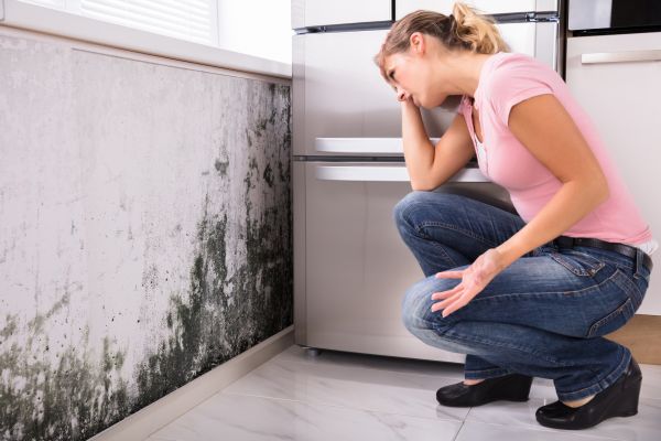 HVAC Mold Cleaning