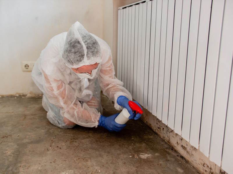 Mold Mitigation Service