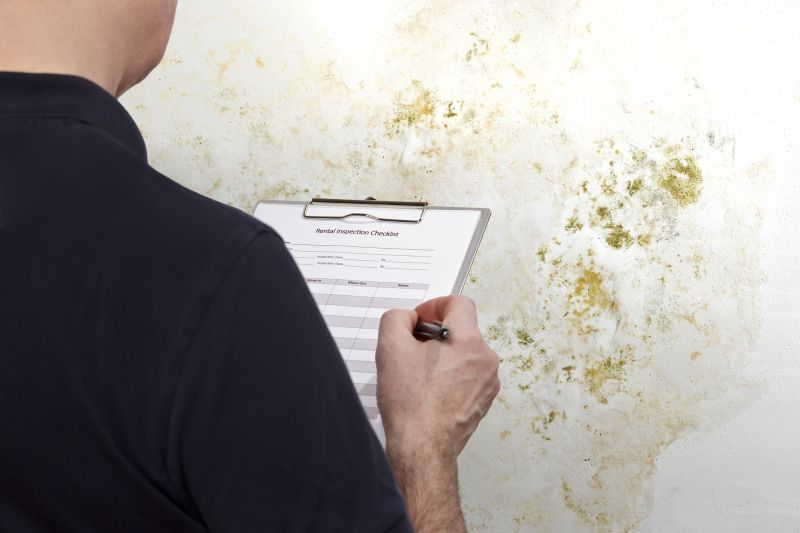 Mold Service